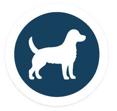 Chien